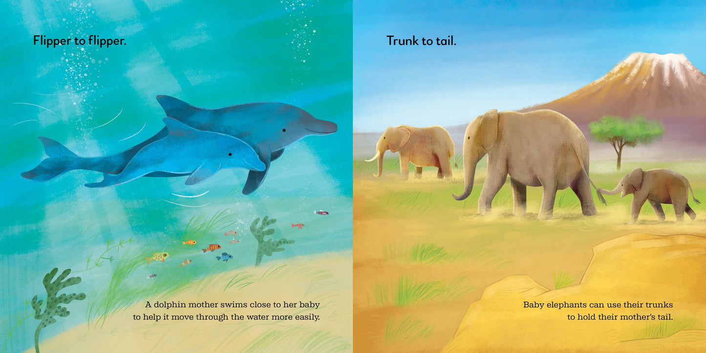 Sourcebooks - Animal Snuggles