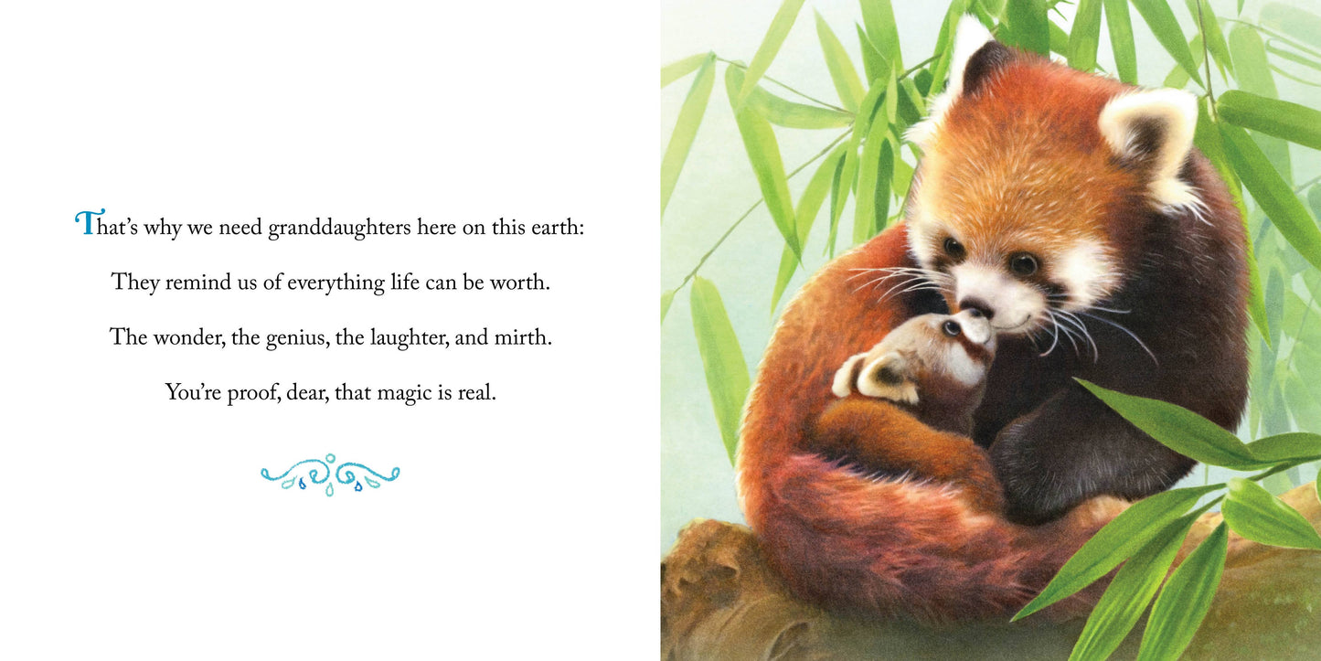 Sourcebooks - Why We Need Granddaughters (HC)