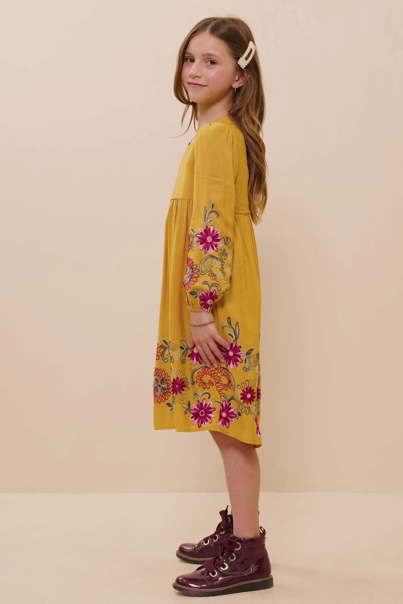 Hayden LA - Girls Embroidered Detail Long Sleeve Scoop Neck Dress