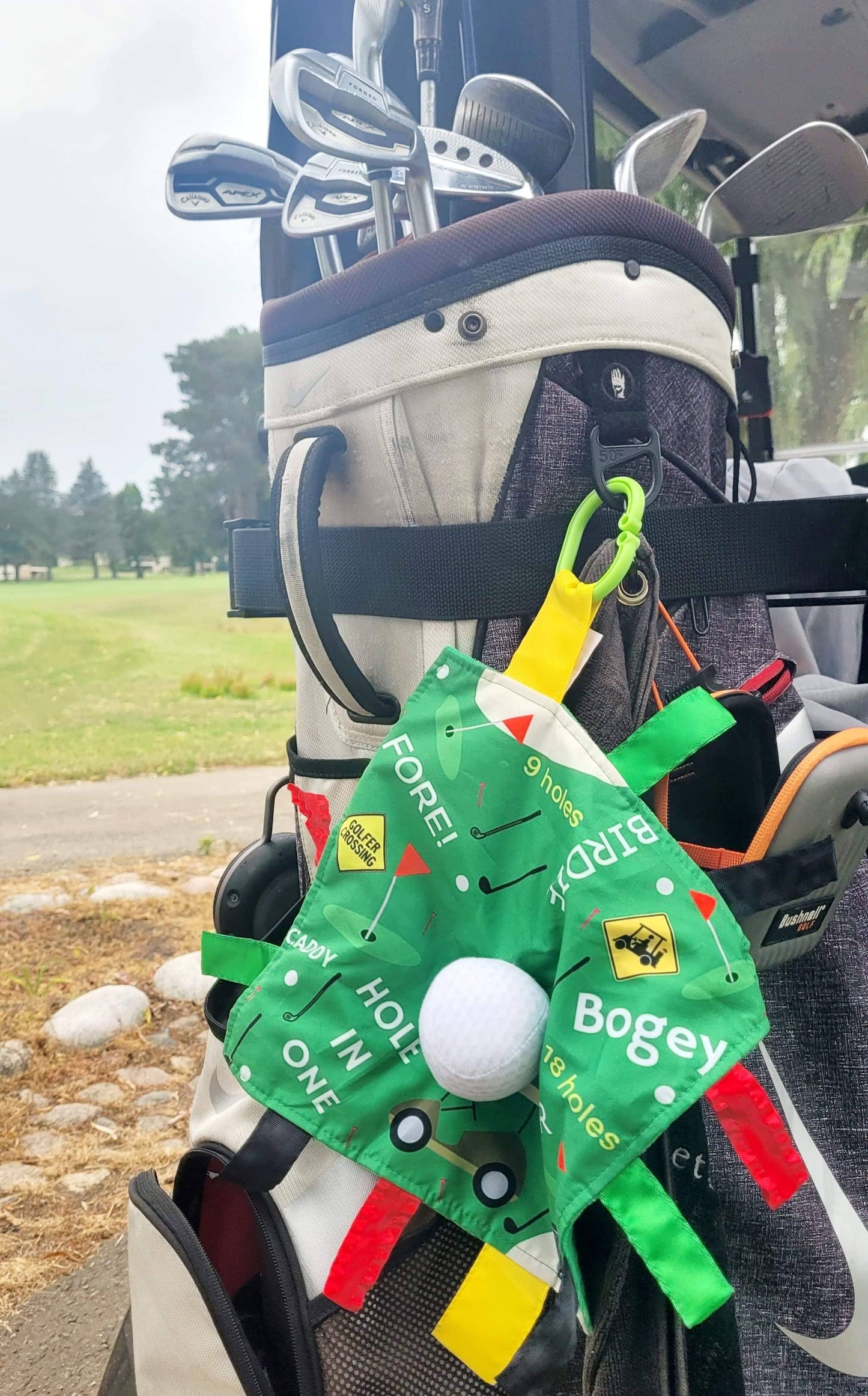 Baby Jack and Company - Golf Baby Learning Lovey Tag Stroller Toy 10" x 10"