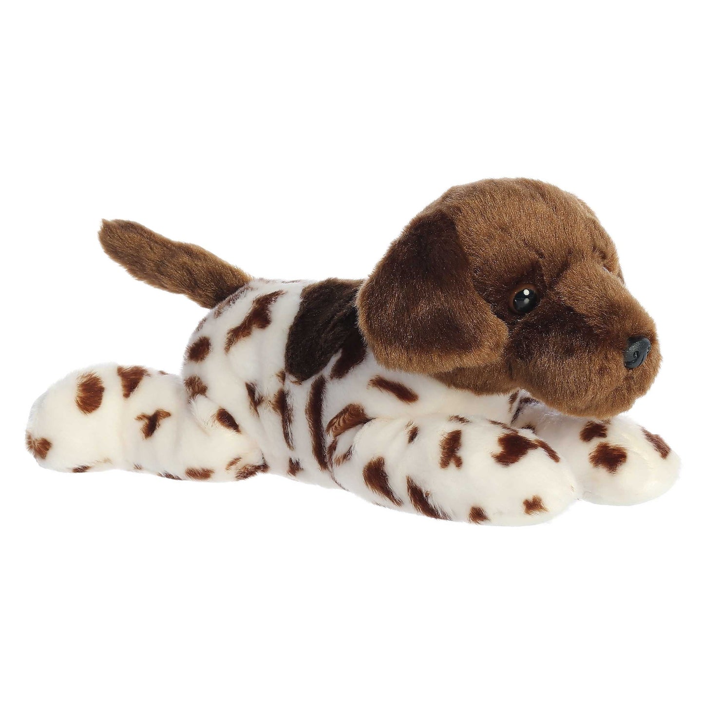 Gio German Shorthair