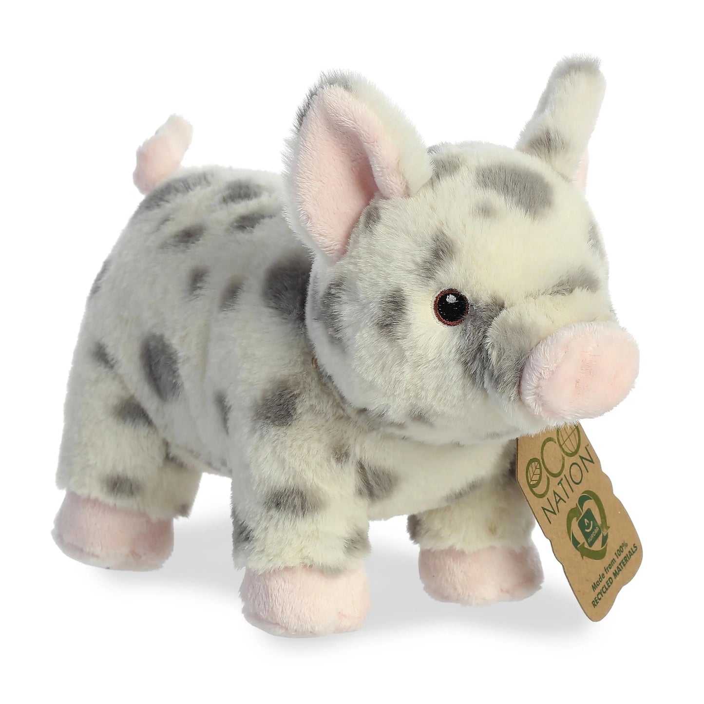 Spotted Pig 9.5"-Eco Nation