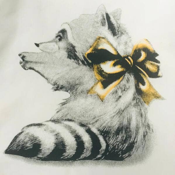 Raccoon Print Top with Black Star Tutu