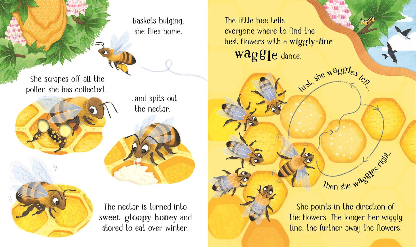 HarperCollins - One Little Bee board book: Usborne