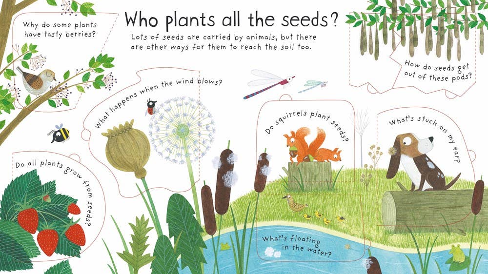 HarperCollins - First Questions and Answers: How do flowers grow?