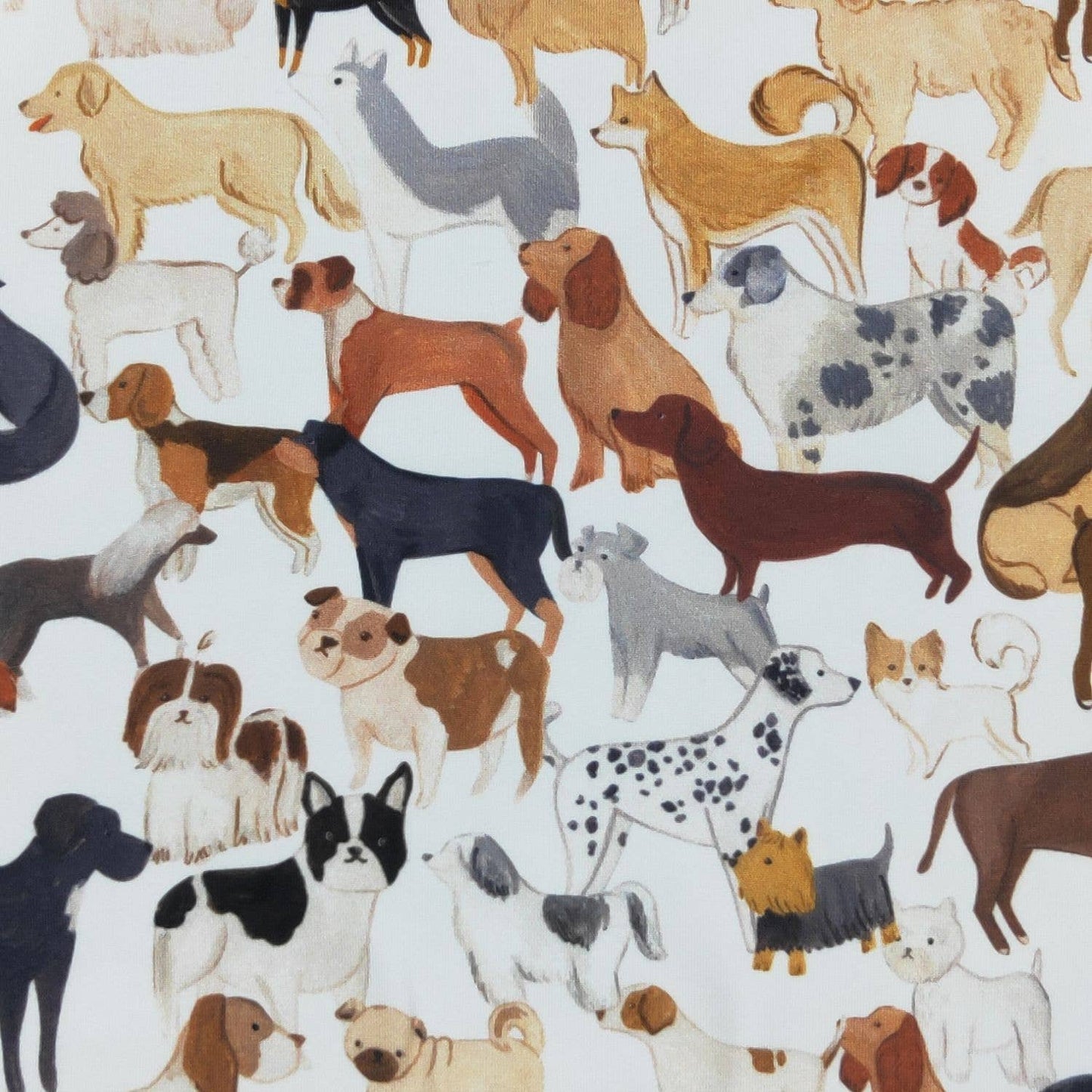Clover Cottage - Dog Park Boy Romper