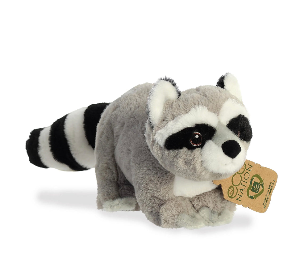 Raccoon