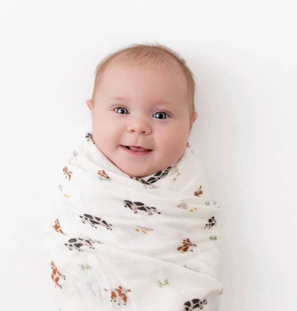 Cow Swaddle