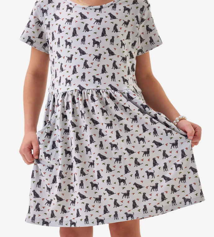Burlebo Moxie Dress Ducks and Dogs