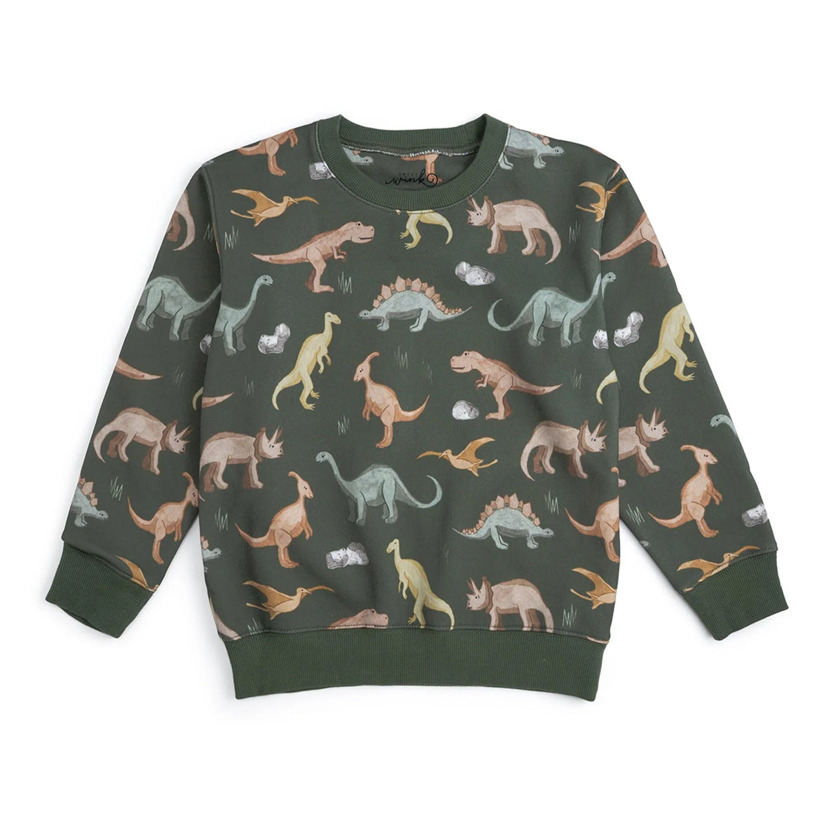 Dinosaurs Rock Sweatshirt