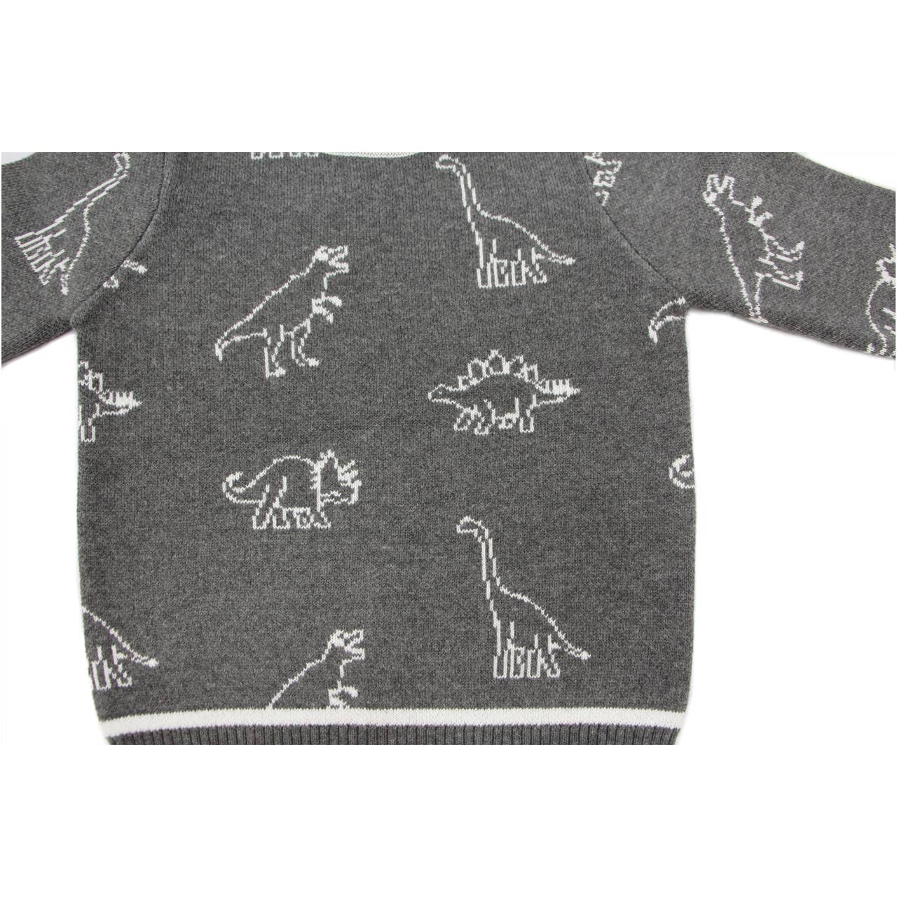 Bear Camp - Leon Dinosaur Sweater Toddler