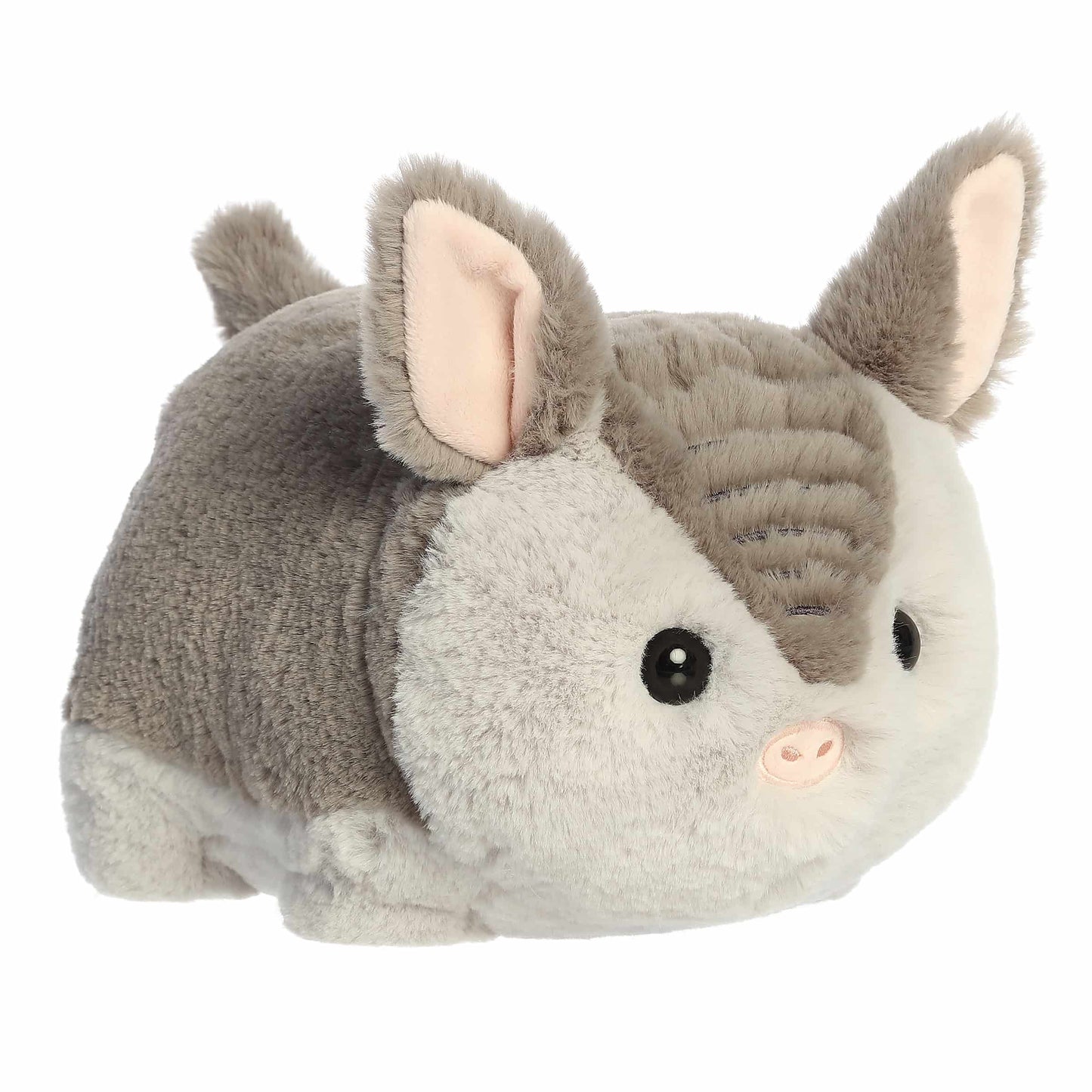 Spudster- Arnie Armadillo