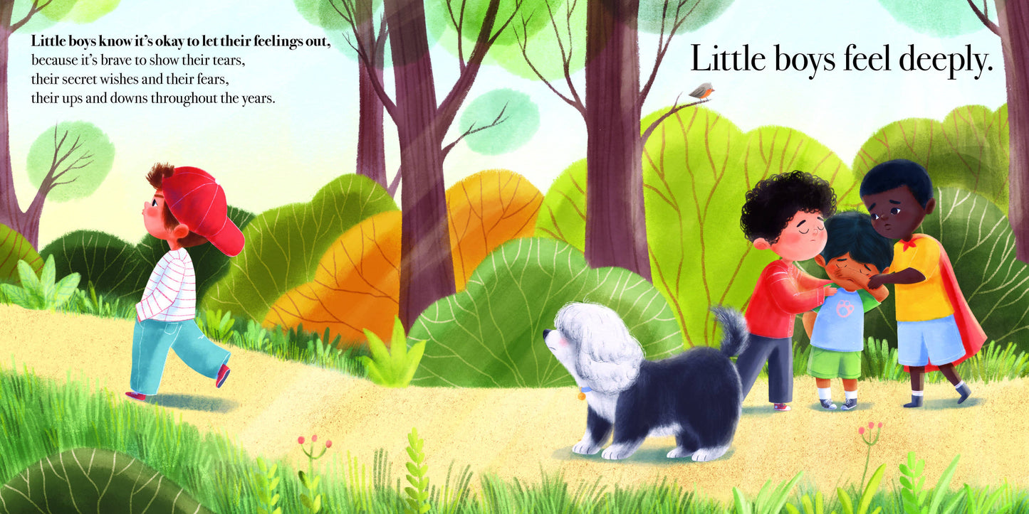 Sourcebooks - What Little Boys Are Made Of (HC-Pic)