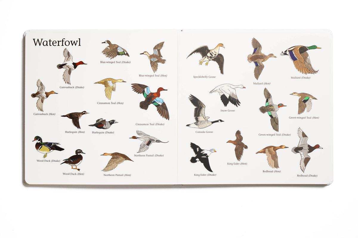 Explore the Outdoors Books - The Big Book of Hunting