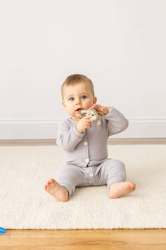 Itzy Ritzy - Ritzy Teether™ Baby Molar Teether