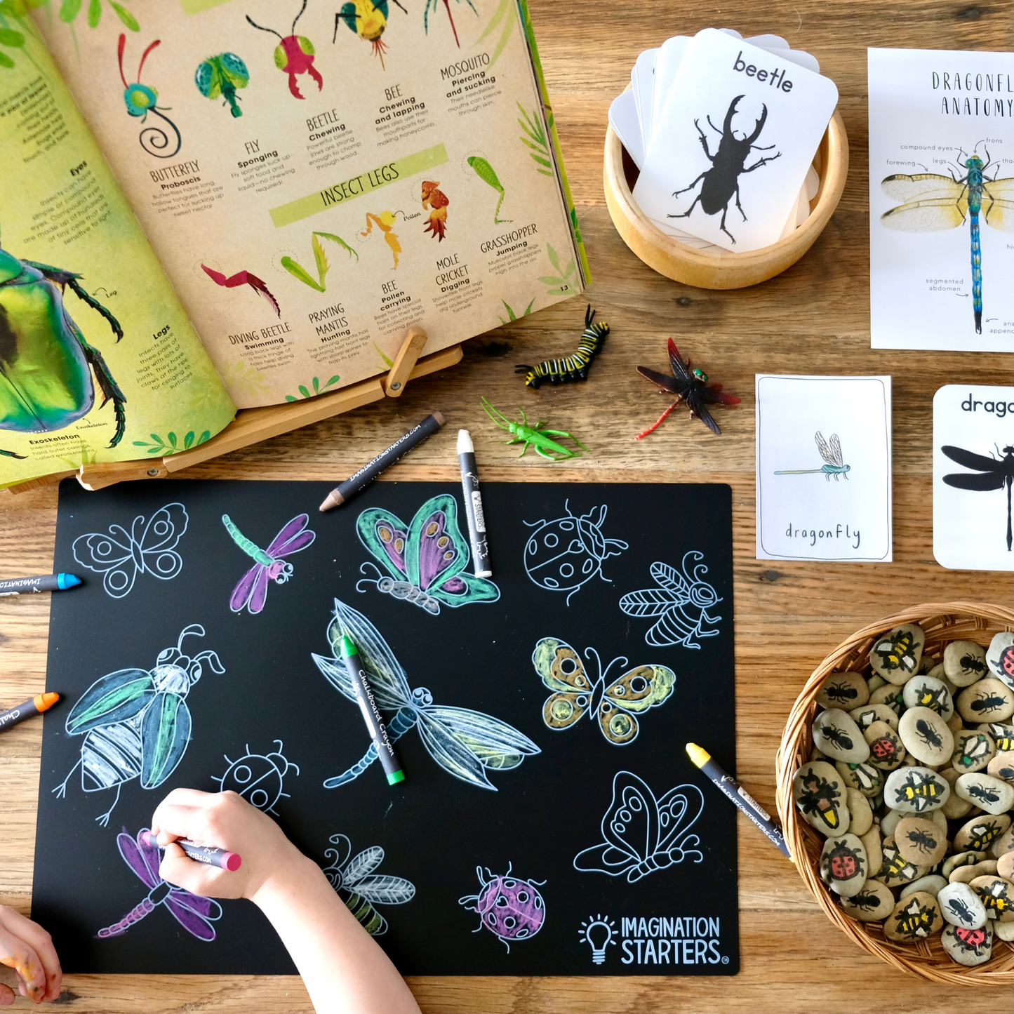 Imagination Starters - Chalkboard Bugs Coloring Placemat 12x17