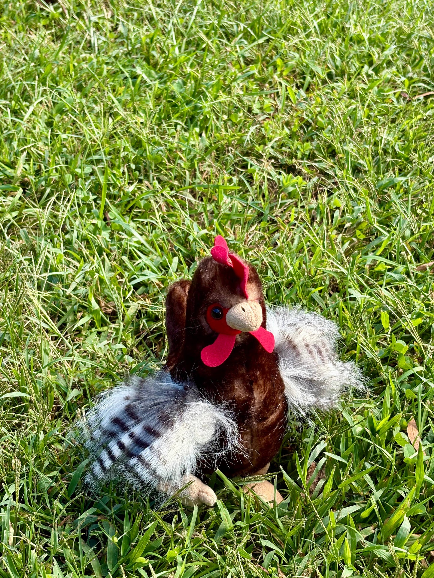 The Petting Zoo - 9" (20cm) Wild Onez Chicken Brown
