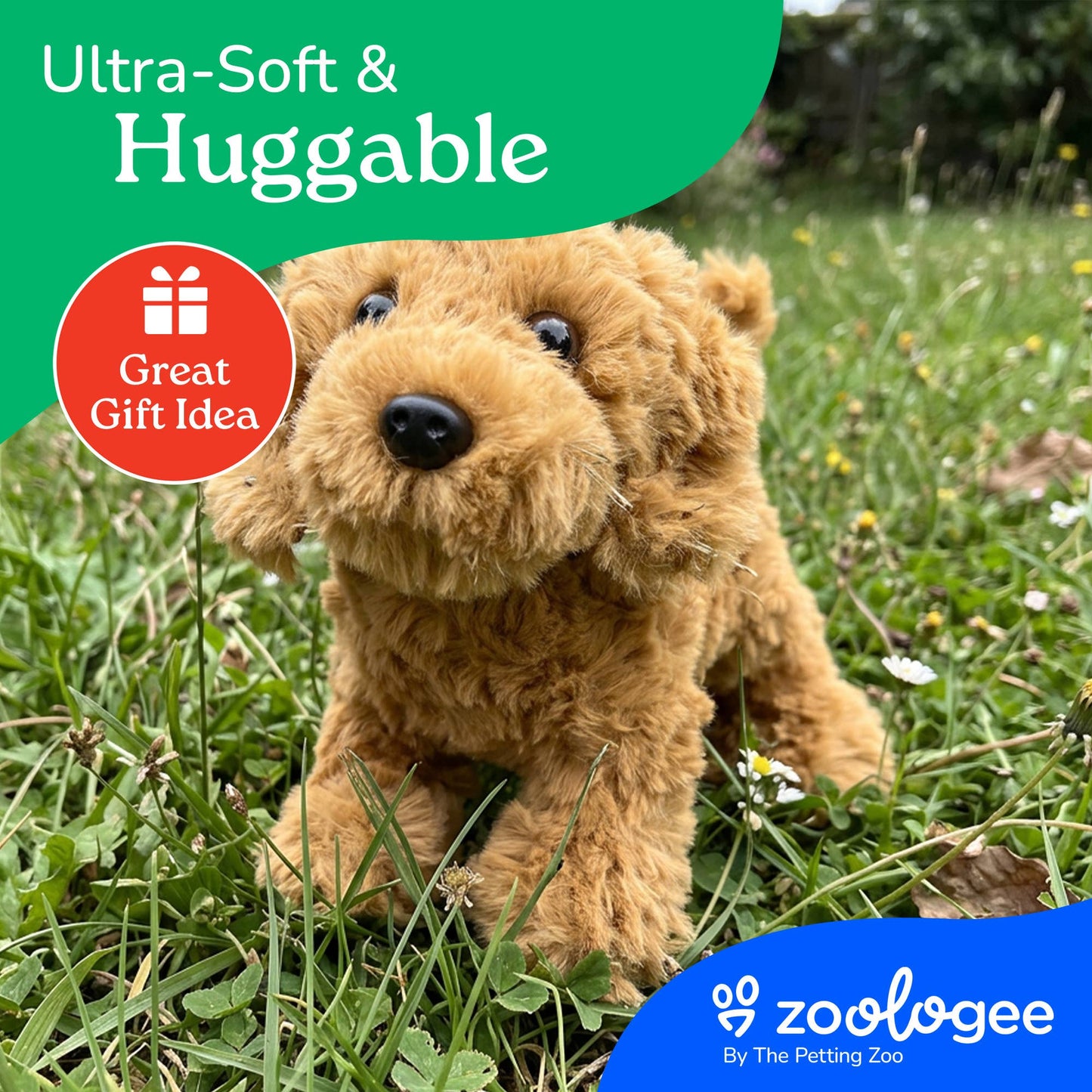 The Petting Zoo - New Golden Labradoodle Dog Small