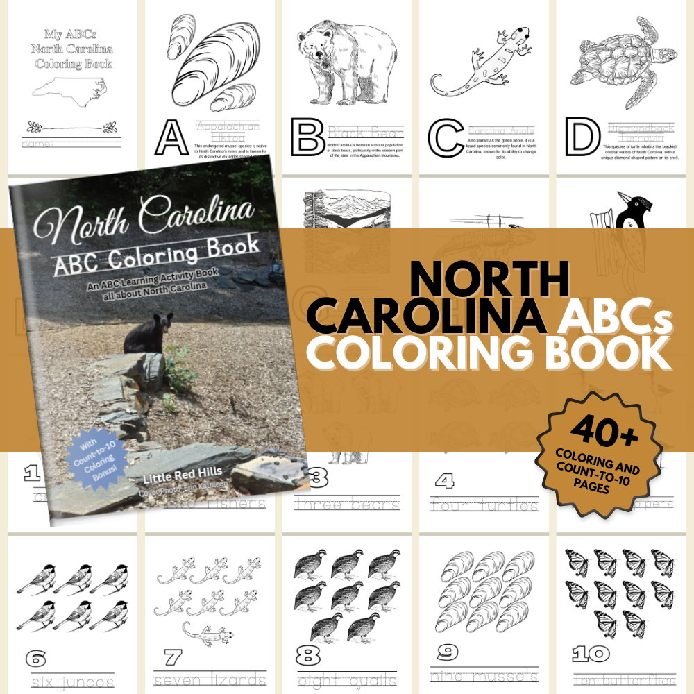 North Carolina ABCs Coloring Book
