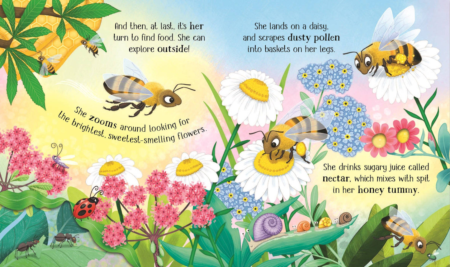HarperCollins - One Little Bee board book: Usborne
