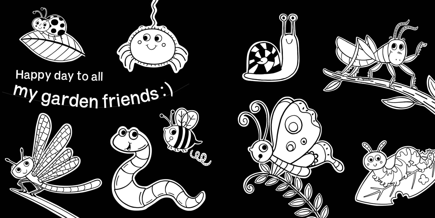 Sourcebooks - Hello, Garden Bugs