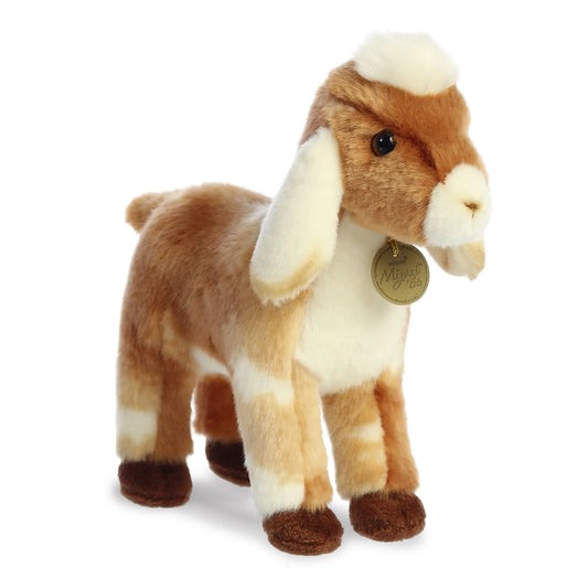 Nubian Kid Goat
