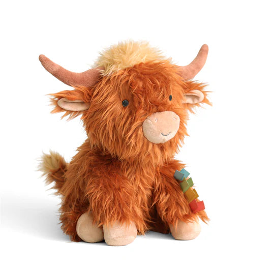 Wyatt the Highland Cow