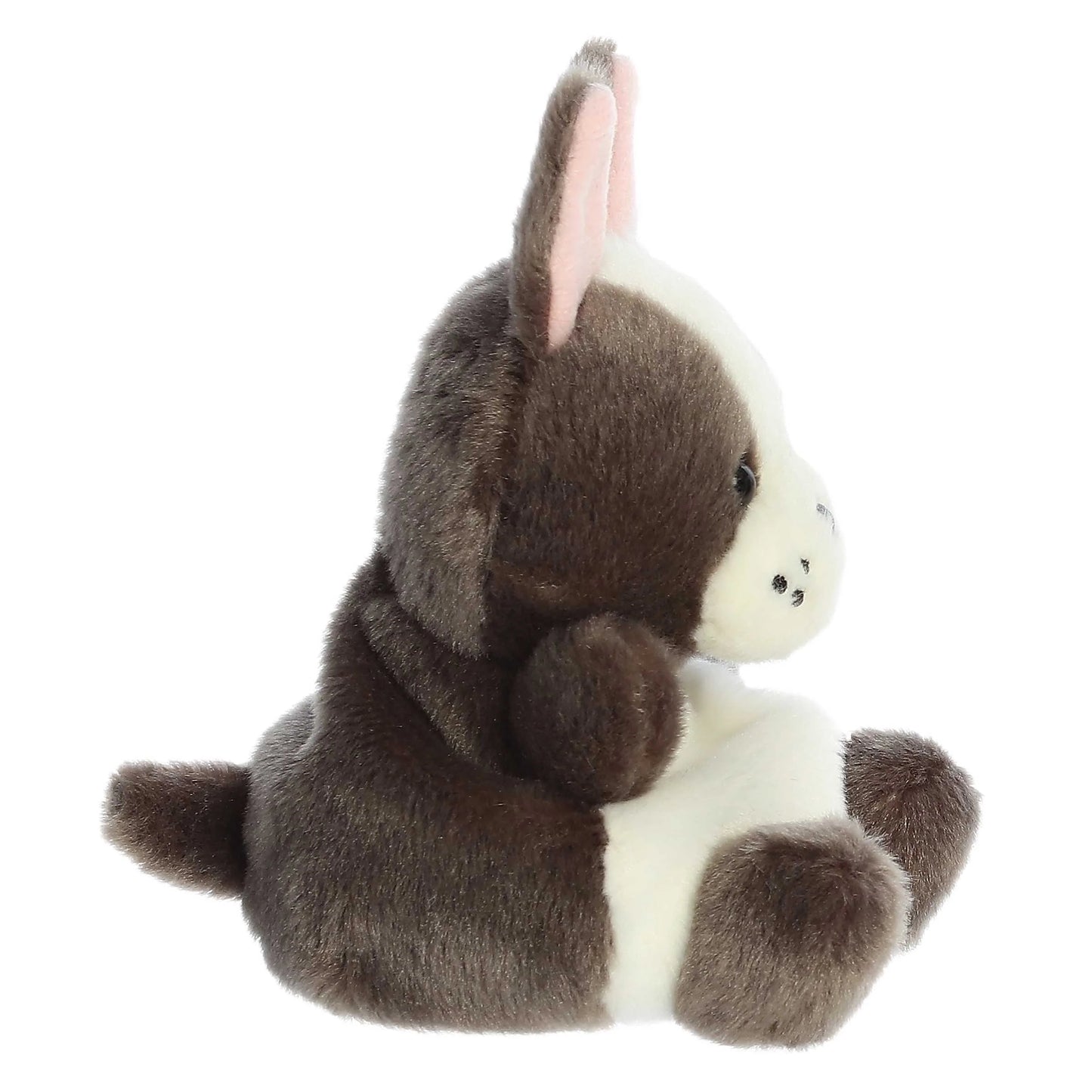 5” Beau French Bulldog