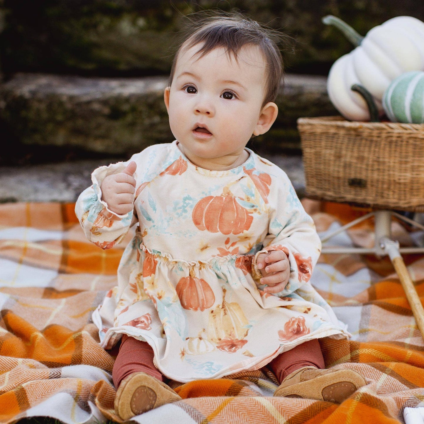 Burt's Bees Baby - Autumn Beauty Tunic Set