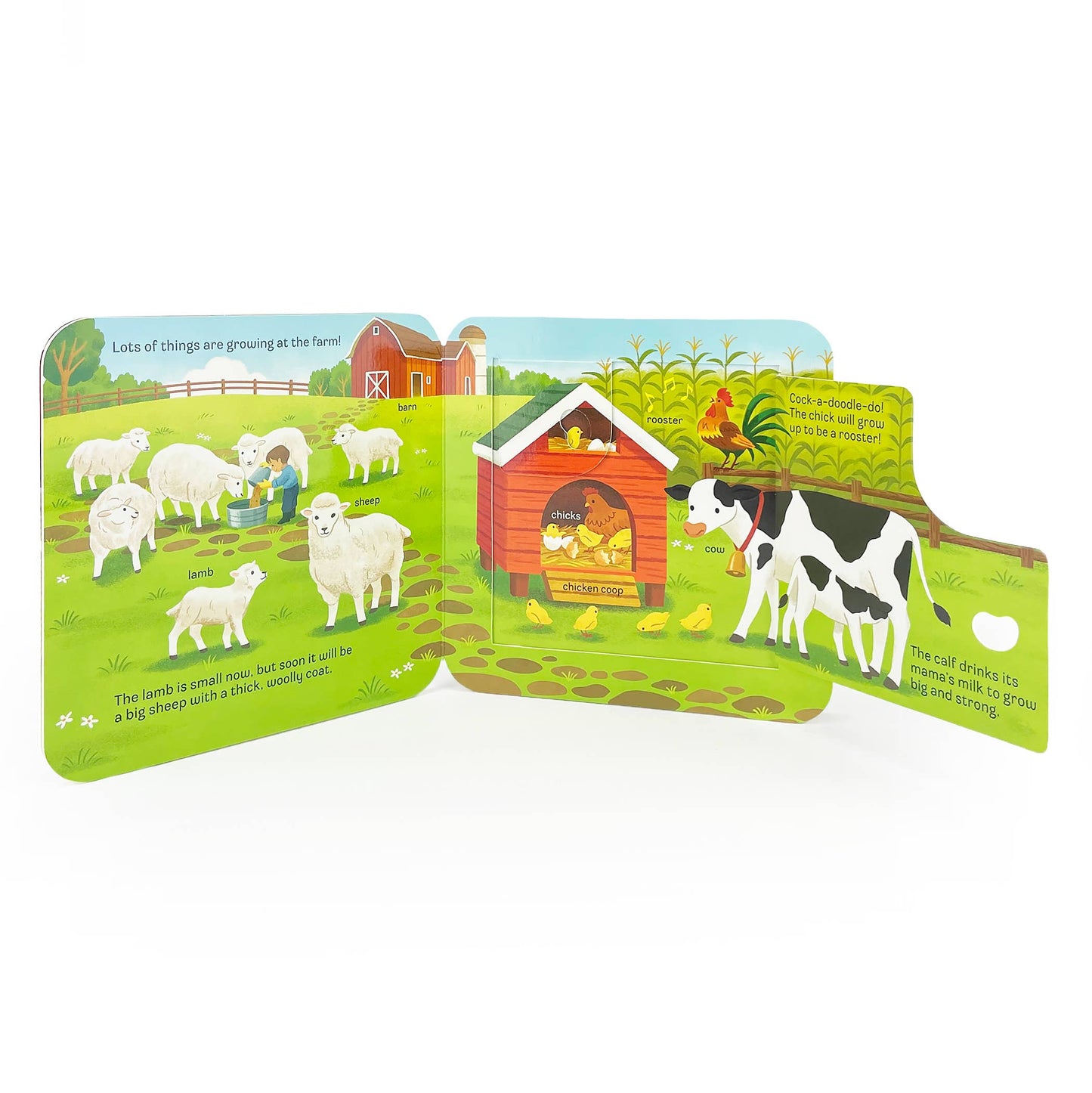 Cottage Door Press - GROW Lift-a-Flap Board Book