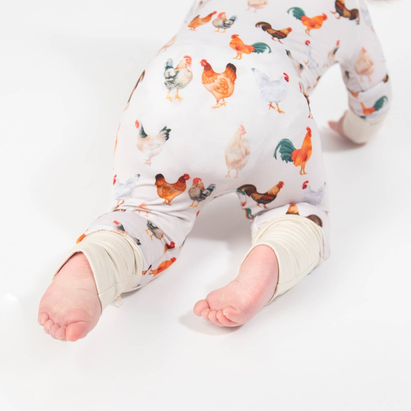Chickens Baby Bamboo Zippy