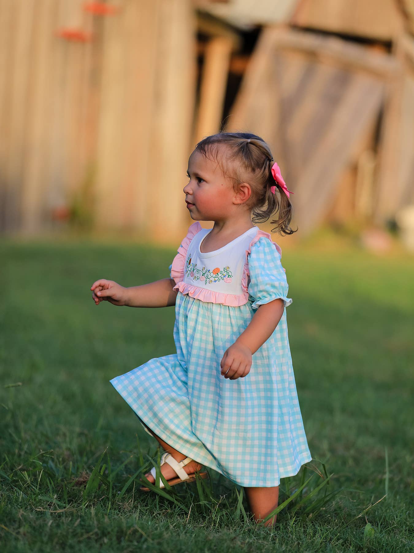 Thanksgiving Day Fall Pumpkin Flowers Embroidered Check Girls Dress