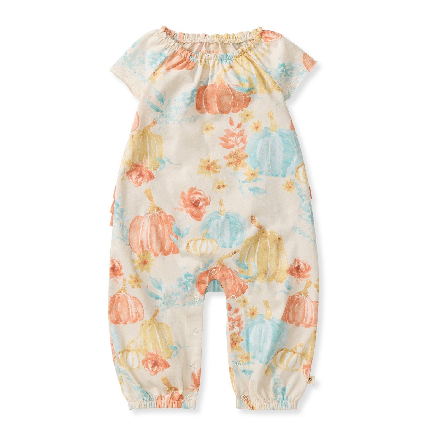 Burt's Bees Baby - Autumn Beauty Jumpsuit
