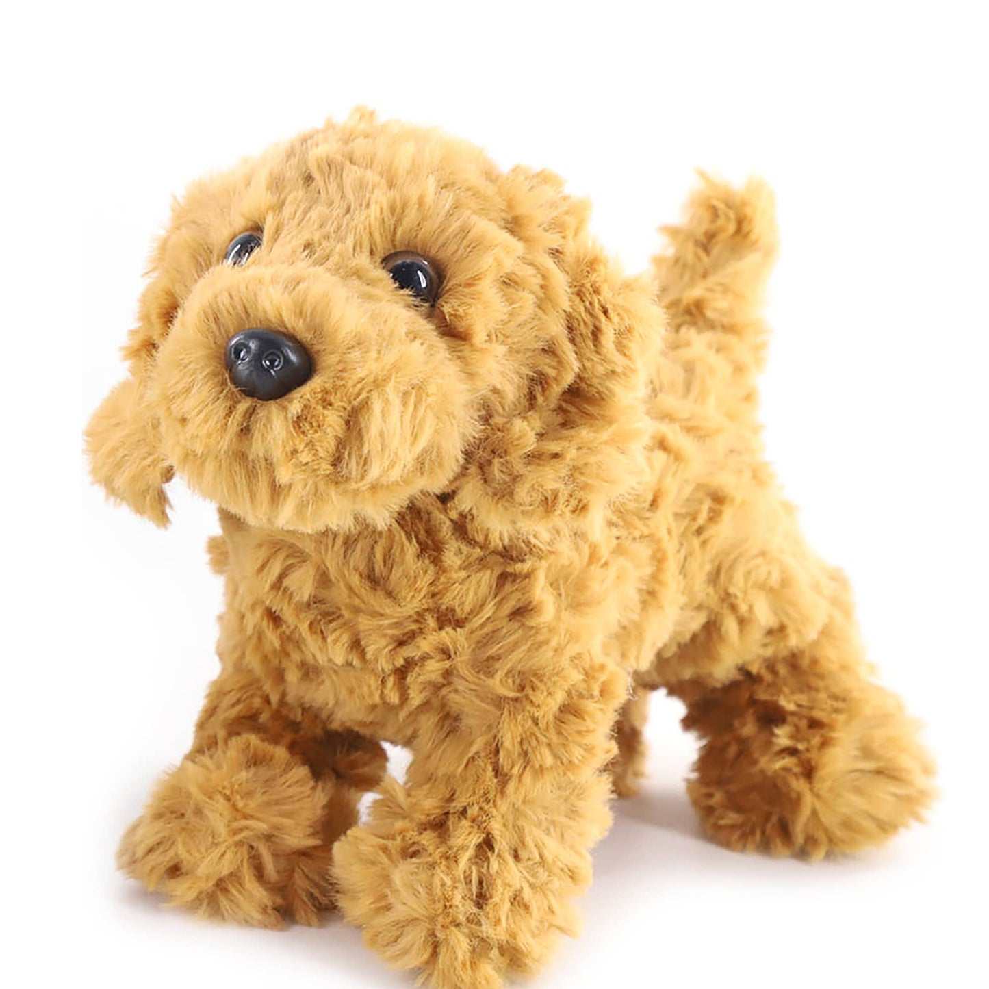 The Petting Zoo - New Golden Labradoodle Dog Small