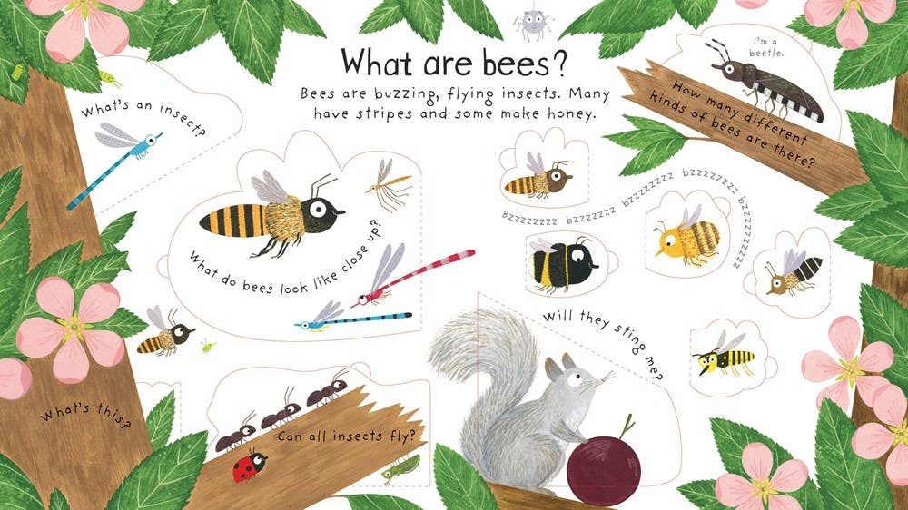 First Questions and Answers: Why do we need bees?