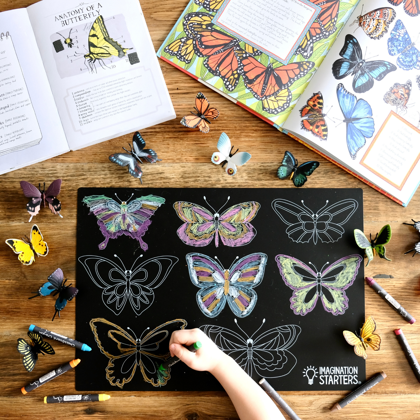 Imagination Starters - Reusable Coloring Butterfly Placemat 12x17