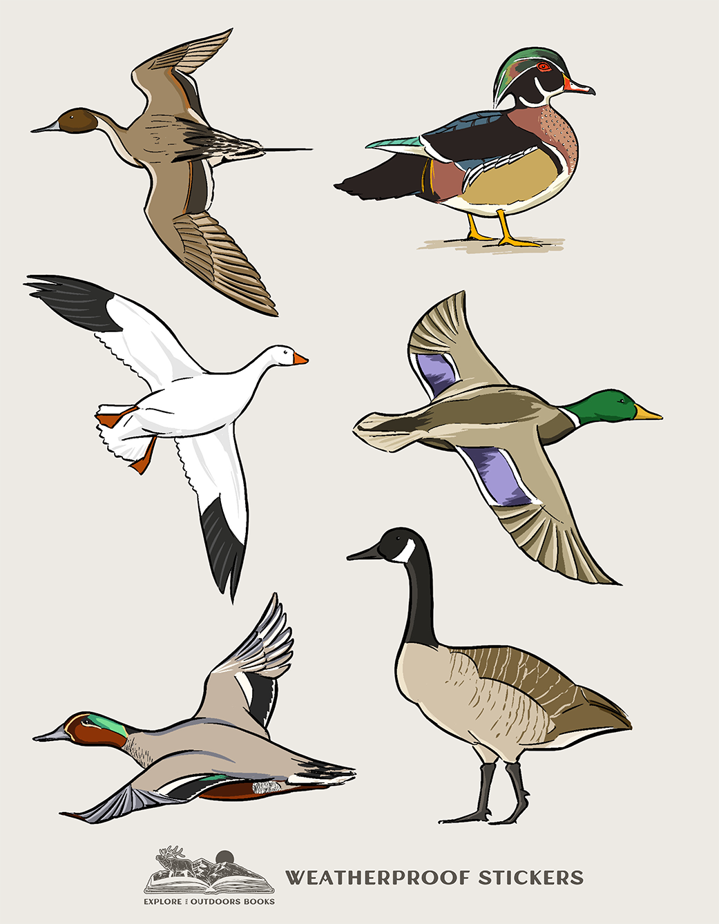 Explore the Outdoors Books - Waterfowl Weatherproof Sticker Sheet