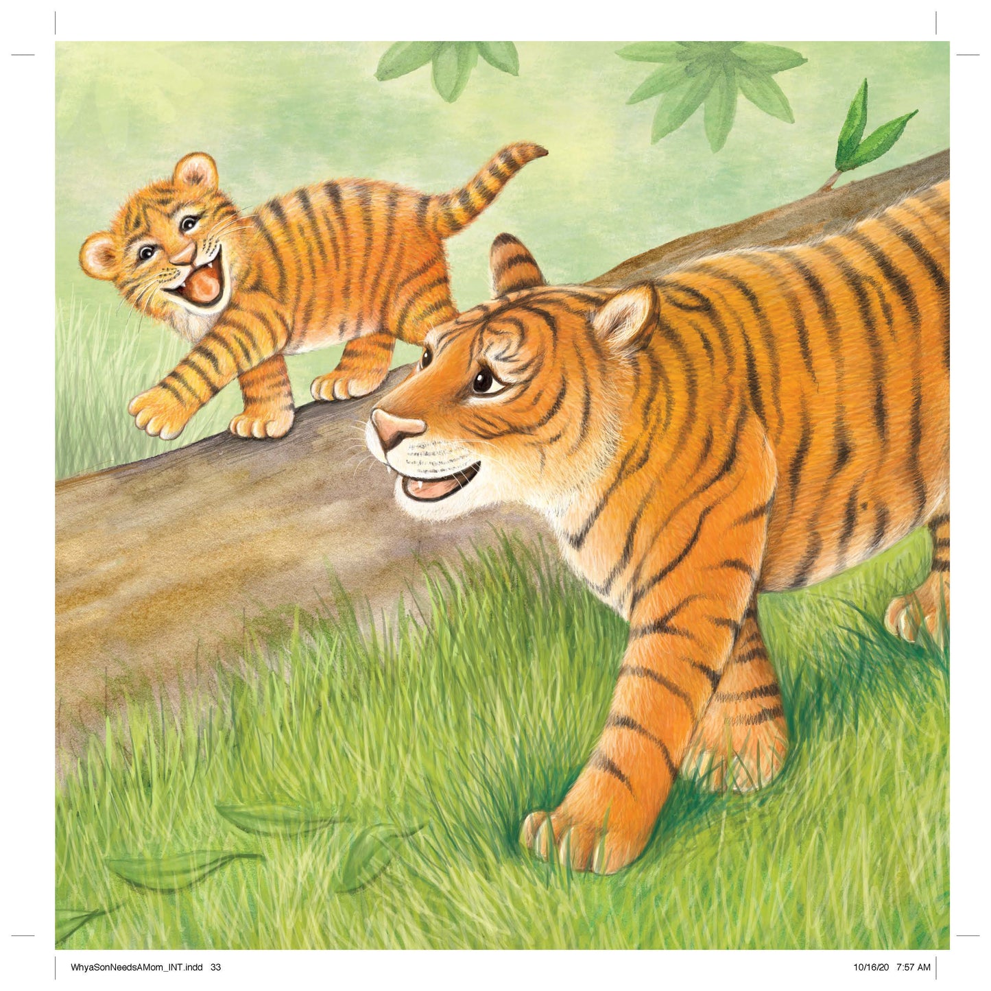 Sourcebooks - Why A Son Needs A Mom (hardcover)