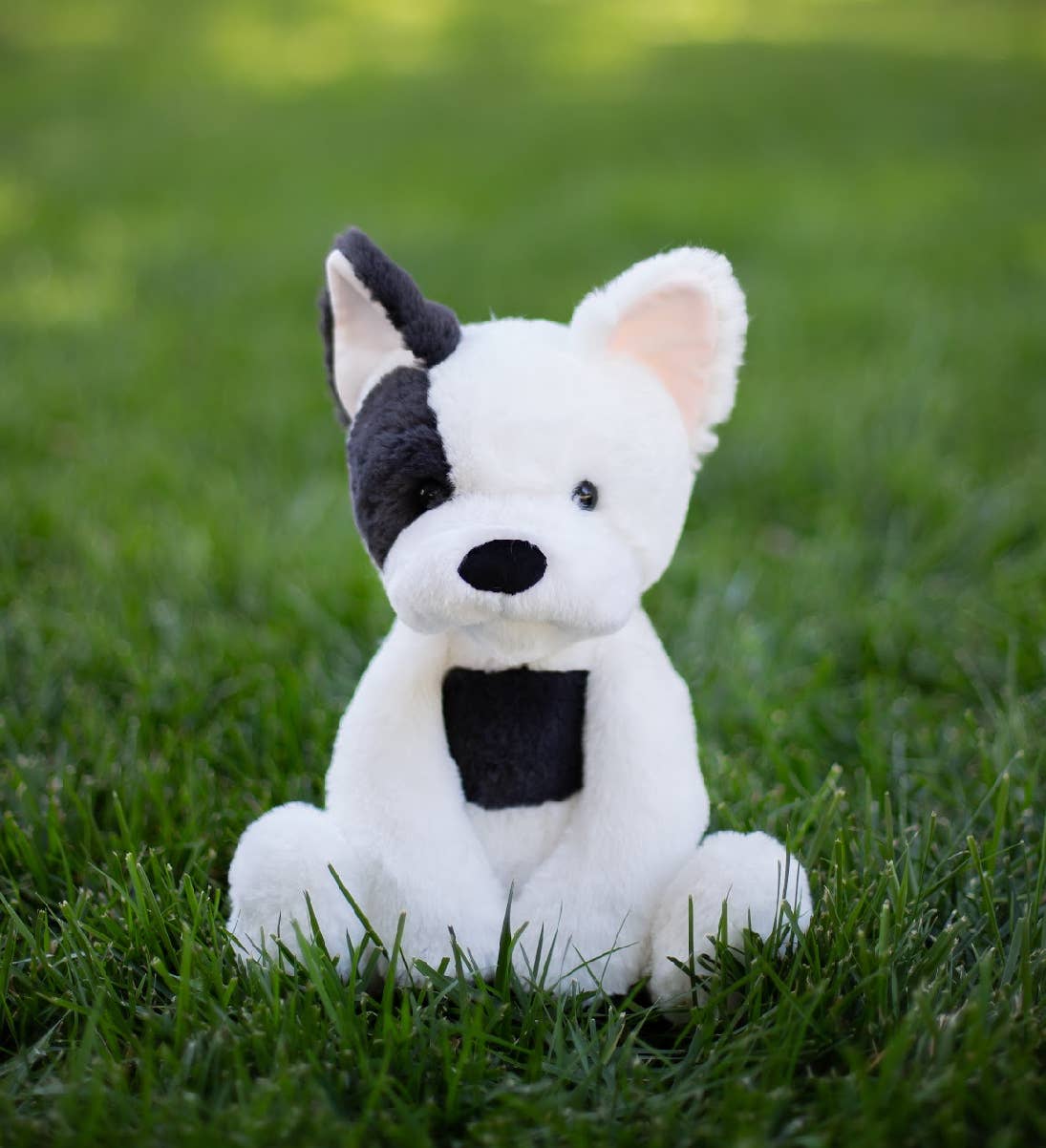 Frody Frenchy Dog