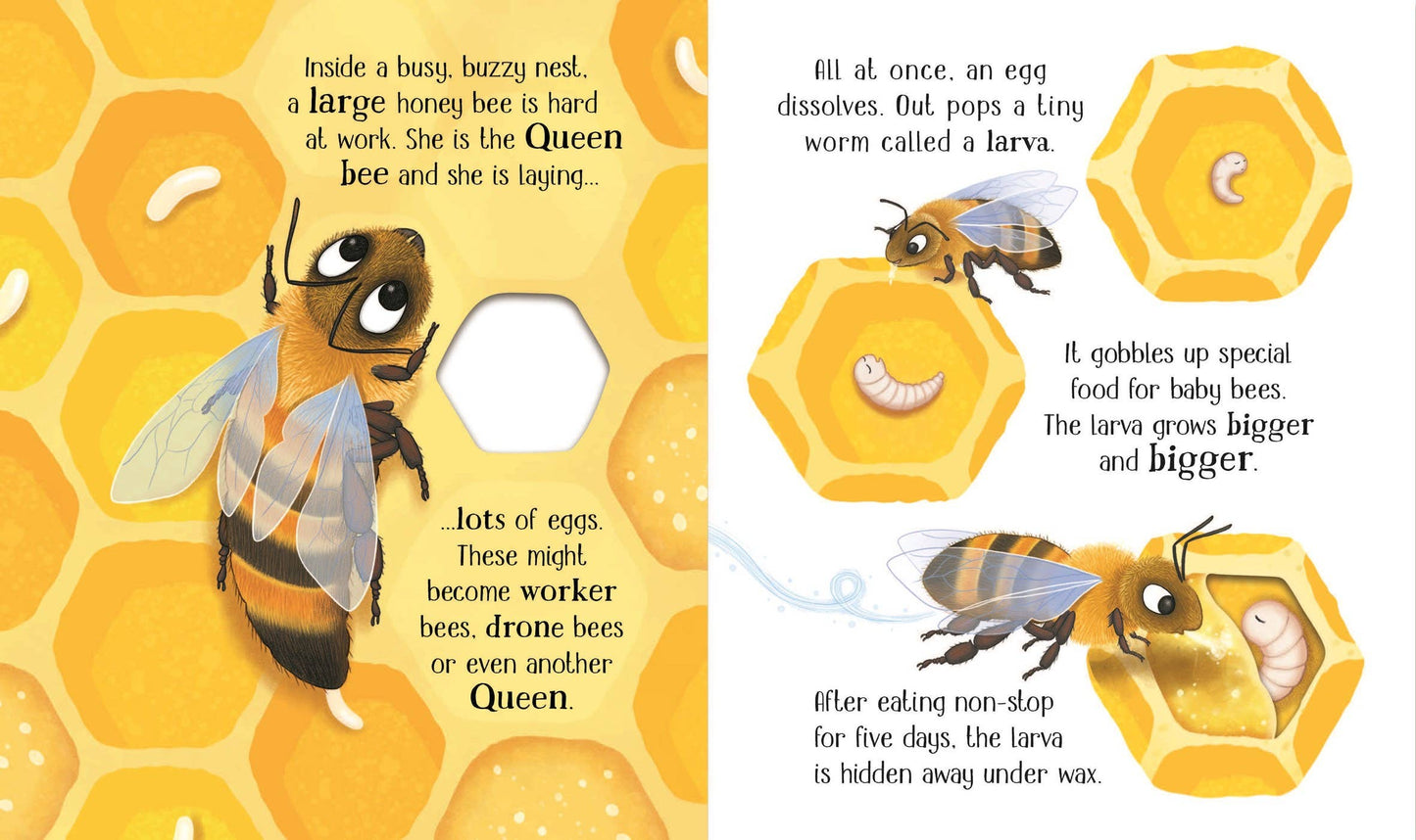 HarperCollins - One Little Bee board book: Usborne