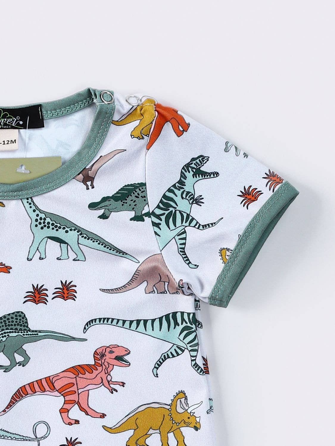 Clover Cottage - Mesozoic Boy Romper