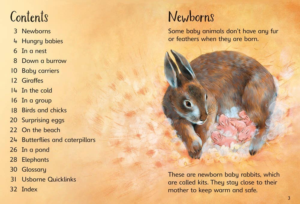 HarperCollins - Baby Animals : Usborne Beginners