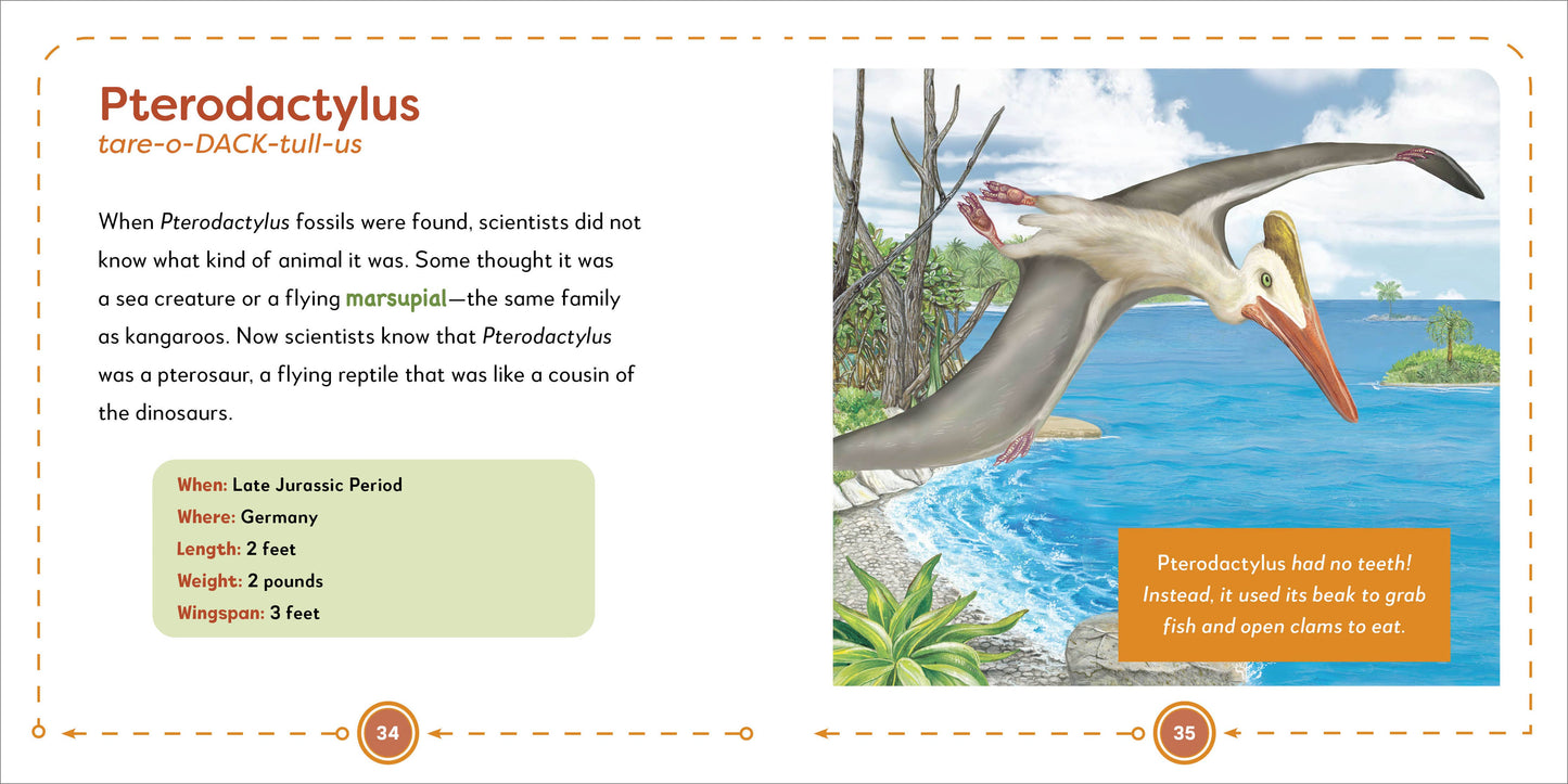 Sourcebooks - My First Book of Dinosaurs