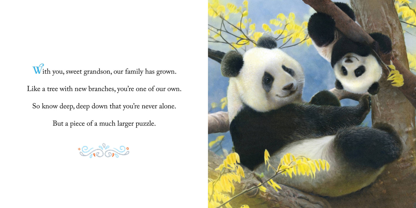 Sourcebooks - Why We Need Grandsons (HC)