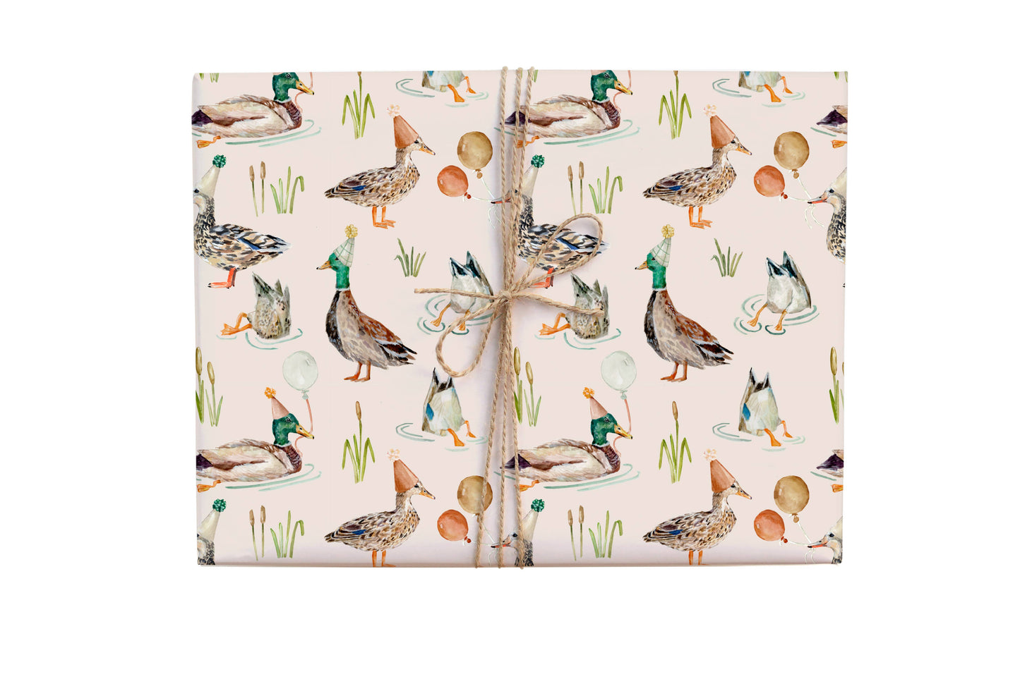Birthday Duck Gift Wrap Roll