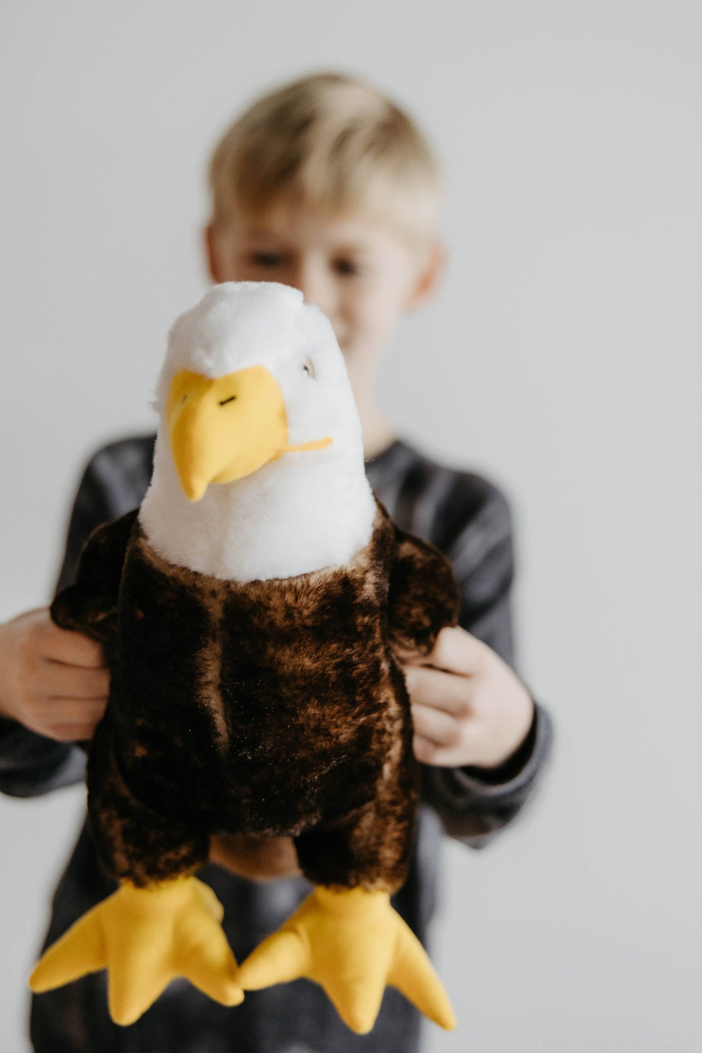 The Petting Zoo - 12" (30cm) Wild Onez Bald Eagle
