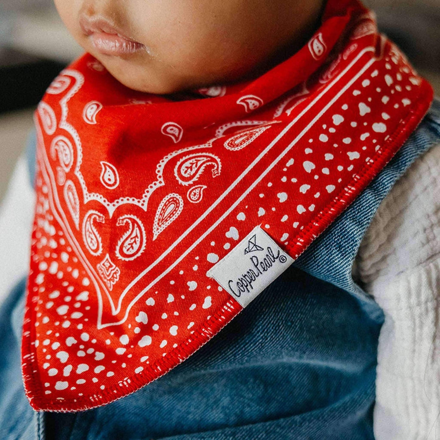 Copper Pearl - 4 Pack Baby Bandana Bibs - Boone