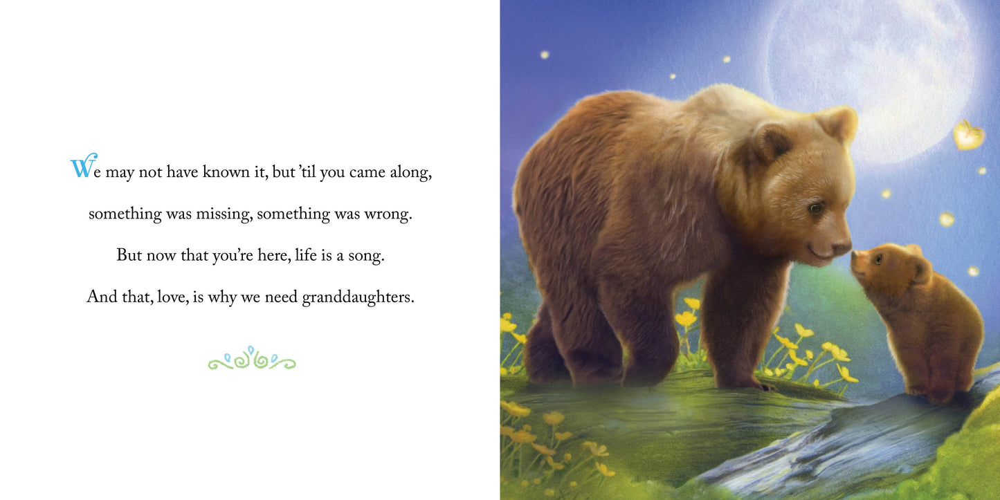 Sourcebooks - Why We Need Granddaughters (HC)