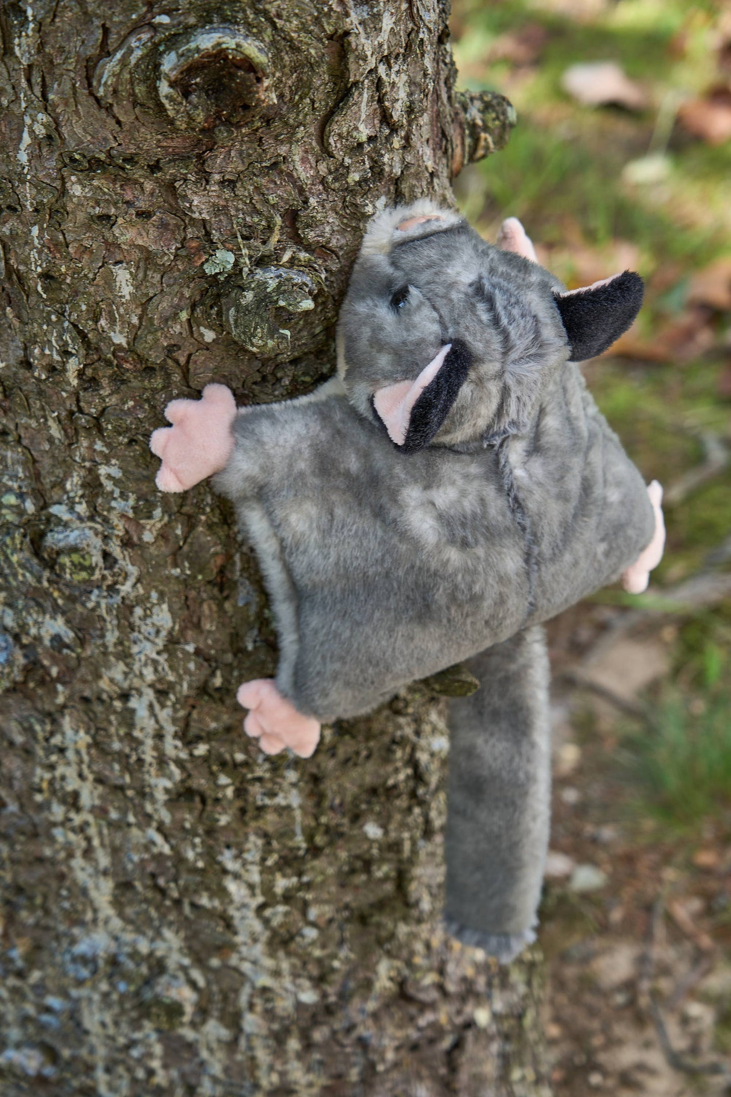 The Petting Zoo - 9" (22cm) Wild Onez Sugar Glider Wild Life Toy