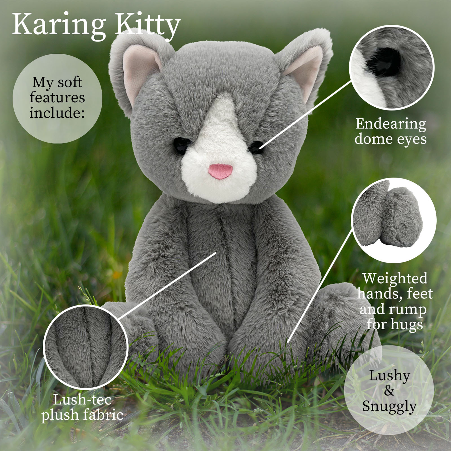 Karing Kitten